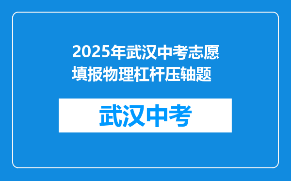 2025年武汉中考志愿填报物理杠杆压轴题