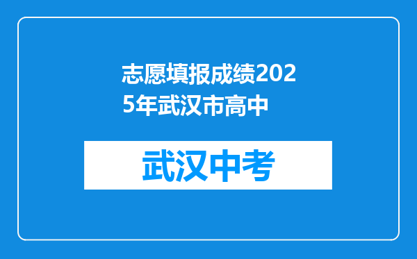 志愿填报成绩2026年武汉市高中
