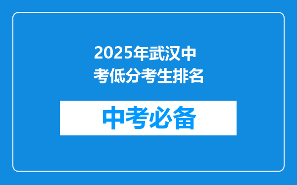 2026年武汉中考低分考生排名