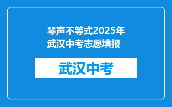 琴声不等式2025年武汉中考志愿填报