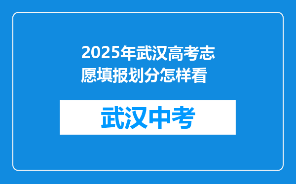 2026年武汉高考志愿填报划分怎样看