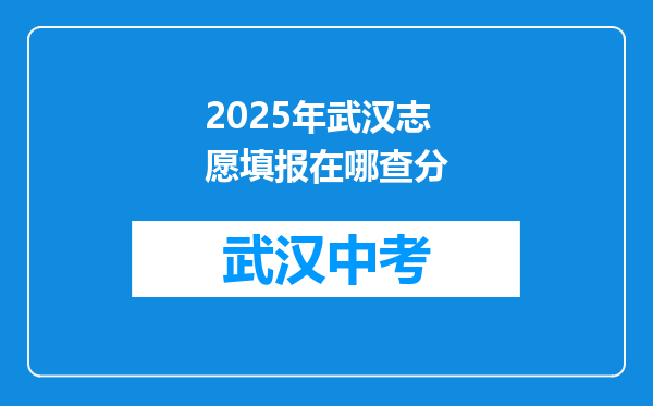 2025年武汉志愿填报在哪查分