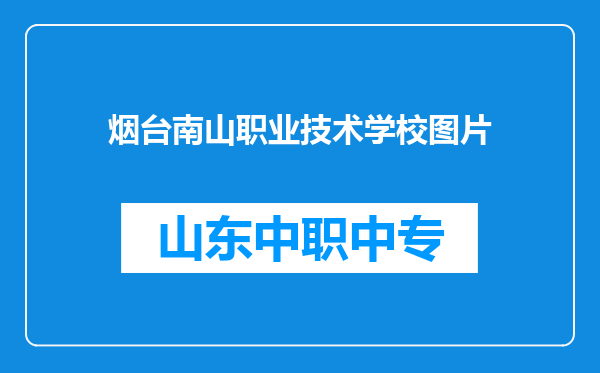 烟台南山职业技术学校图片