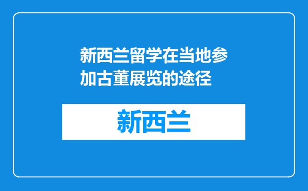 新西兰留学在当地参加古董展览的途径