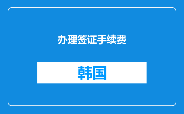 办理签证手续费