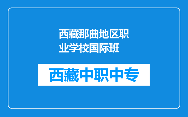 西藏那曲地区职业学校国际班