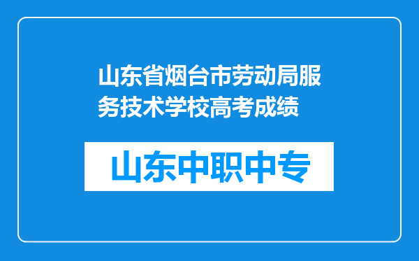 山东省烟台市劳动局服务技术学校高考成绩