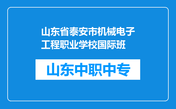 山东省泰安市机械电子工程职业学校国际班