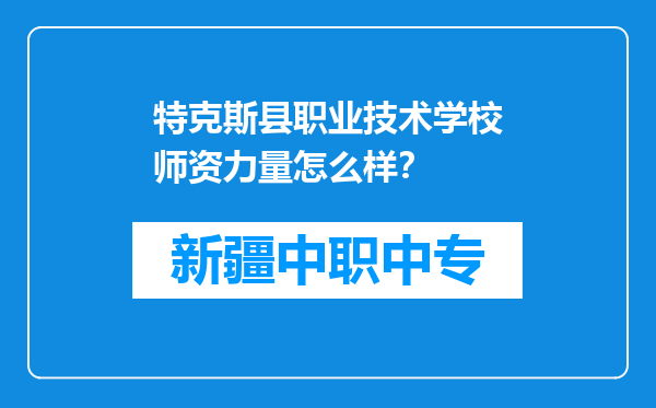 特克斯县职业技术学校师资力量怎么样？