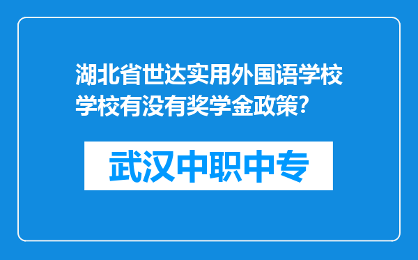 湖北省世达实用外国语学校学校有没有奖学金政策？