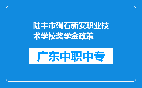 陆丰市碣石新安职业技术学校奖学金政策
