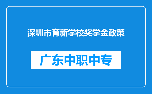 深圳市育新学校奖学金政策