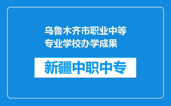 乌鲁木齐市职业中等专业学校办学成果