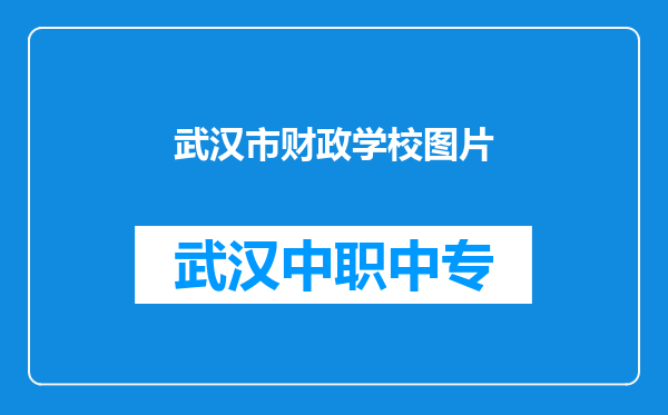 武汉市财政学校图片