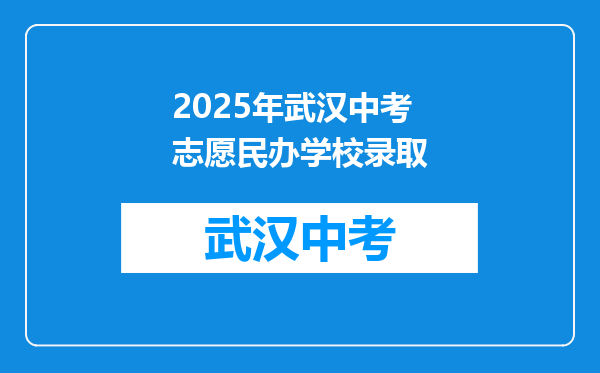 2026年武汉中考志愿民办学校录取