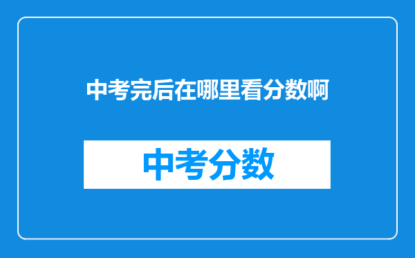 中考完后在哪里看分数啊