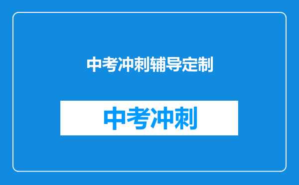 中考冲刺辅导定制
