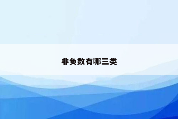 非负数有哪三类
