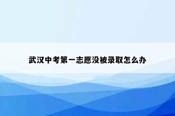 武汉中考第一志愿没被录取怎么办