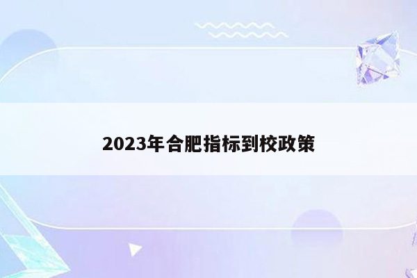 2023年合肥指标到校政策