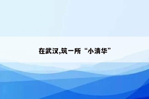 在武汉,筑一所“小清华”