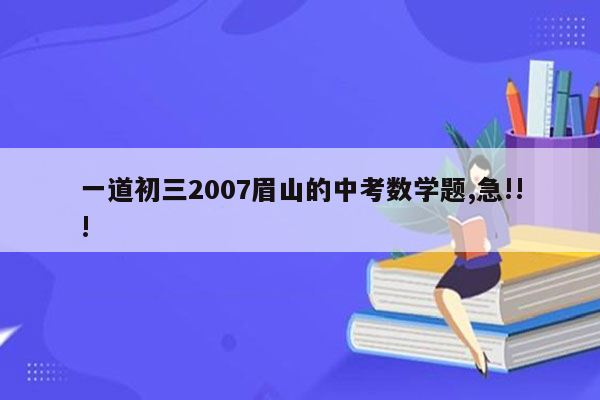 一道初三2007眉山的中考数学题,急!!!