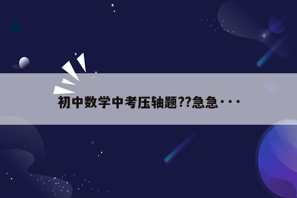 初中数学中考压轴题??急急···