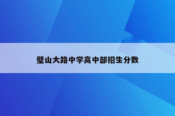 璧山大路中学高中部招生分数