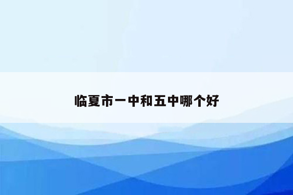 临夏市一中和五中哪个好