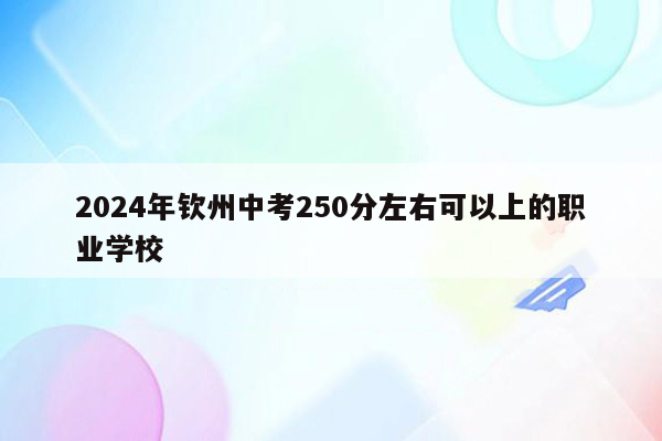 2024年钦州中考250分左右可以上的职业学校