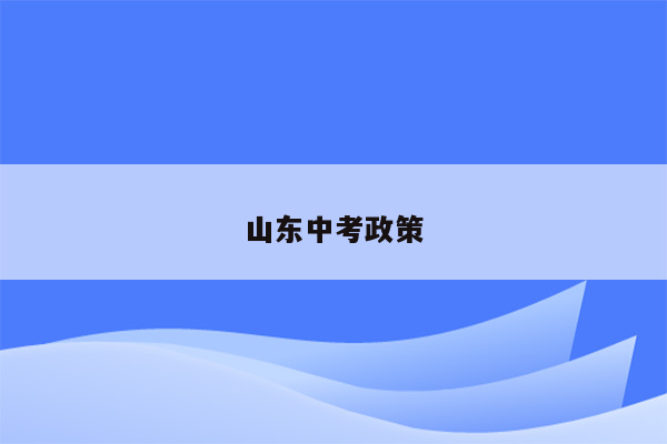 山东中考政策