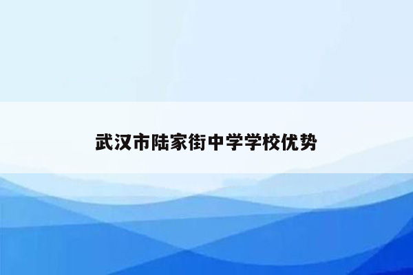 武汉市陆家街中学学校优势