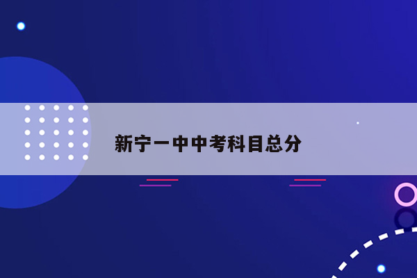 新宁一中中考科目总分