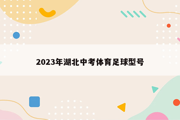2023年湖北中考体育足球型号
