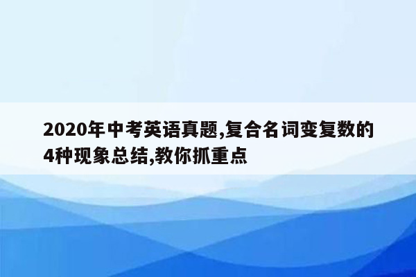 2020年中考英语真题,复合名词变复数的4种现象总结,教你抓重点