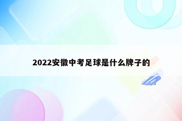 2022安徽中考足球是什么牌子的