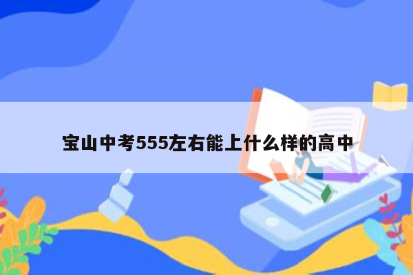 宝山中考555左右能上什么样的高中