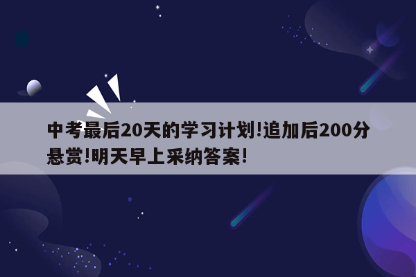 中考最后20天的学习计划!追加后200分悬赏!明天早上采纳答案!