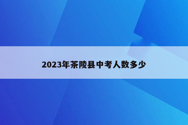 2023年茶陵县中考人数多少