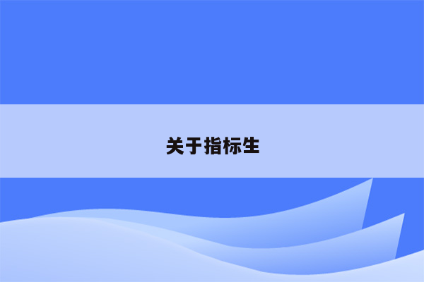 关于指标生