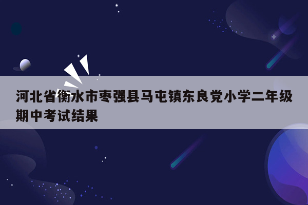 河北省衡水市枣强县马屯镇东良党小学二年级期中考试结果
