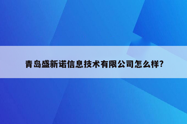 青岛盛新诺信息技术有限公司怎么样?
