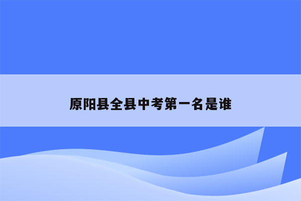 原阳县全县中考第一名是谁