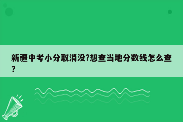 新疆中考小分取消没?想查当地分数线怎么查?