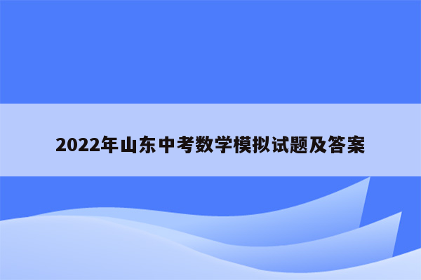 2022年山东中考数学模拟试题及答案