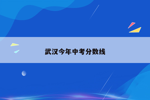 武汉今年中考分数线