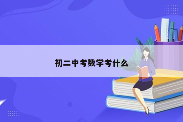 初二中考数学考什么