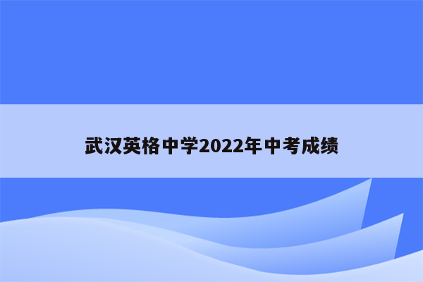 武汉英格中学2022年中考成绩