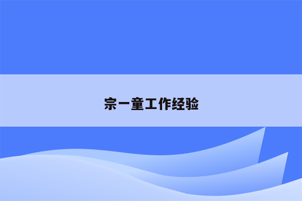 宗一童工作经验