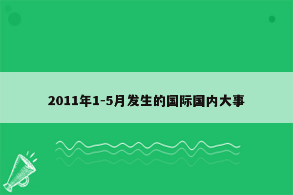 2011年1-5月发生的国际国内大事